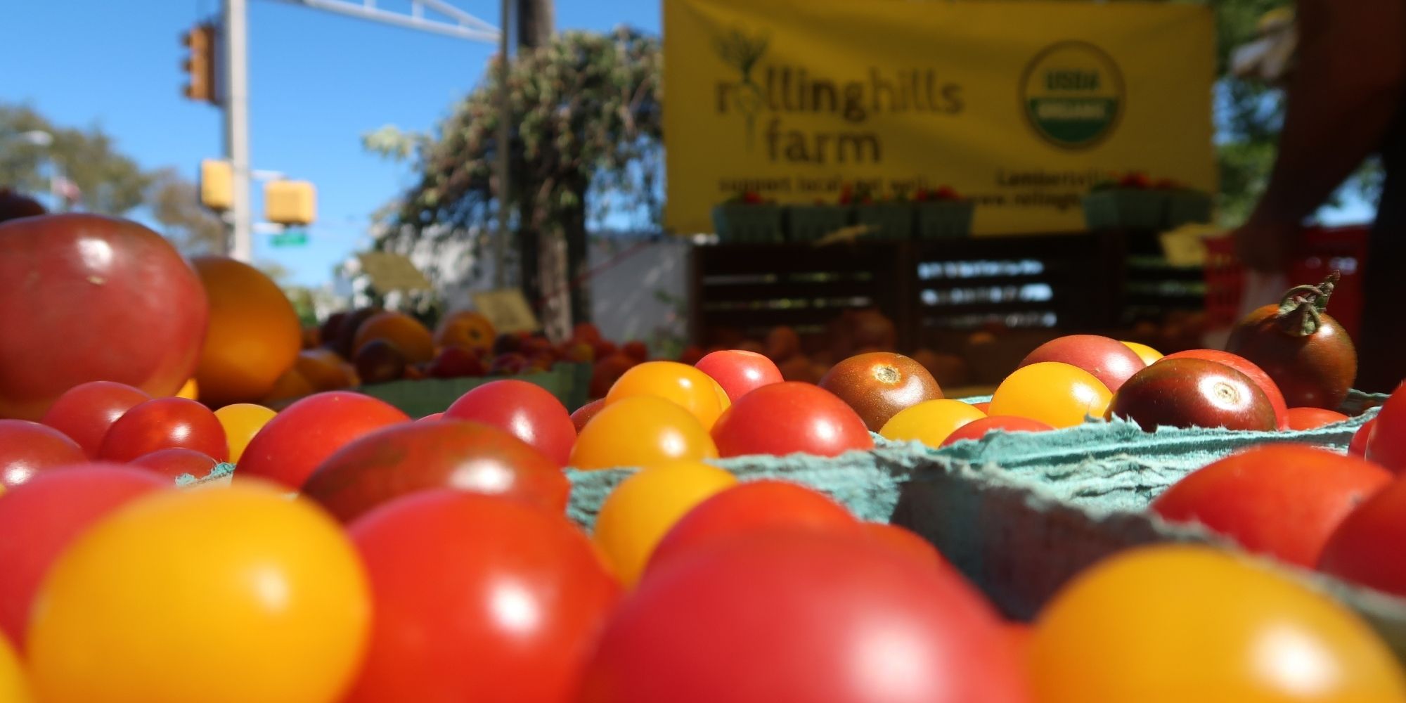 Vendor dashboard with upcoming events