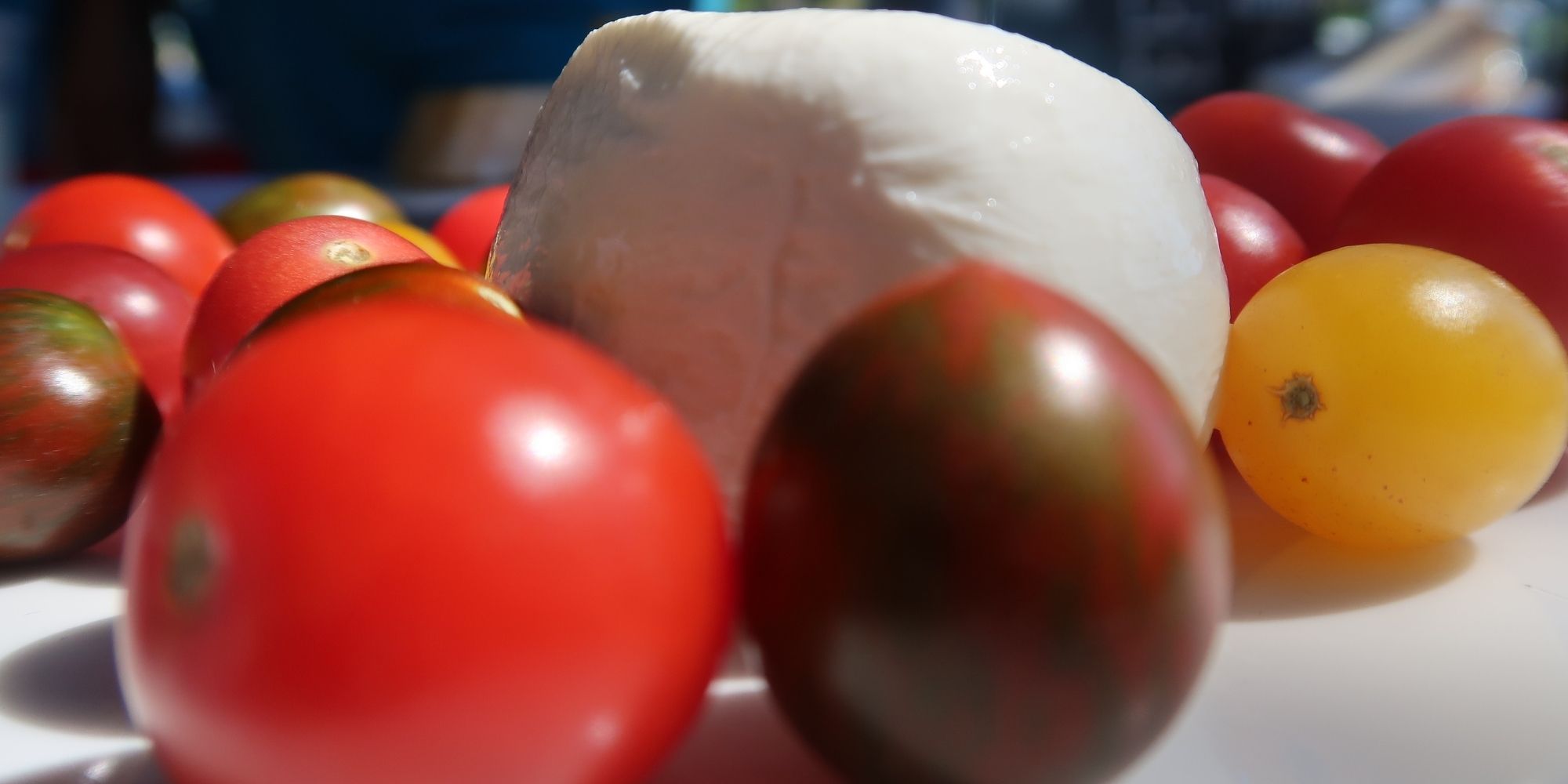 Vendors sharing feedback